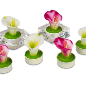 6er Pack Teelichter Art.Nr.: B0620101