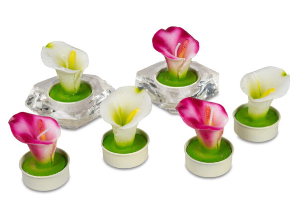 6er Pack Teelichter Art.Nr.: B0620101