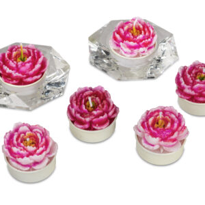 6er Pack Teelichter  Art.Nr.: B0620118