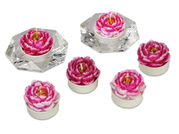 6er Pack Teelichter  Art.Nr.: B0620118